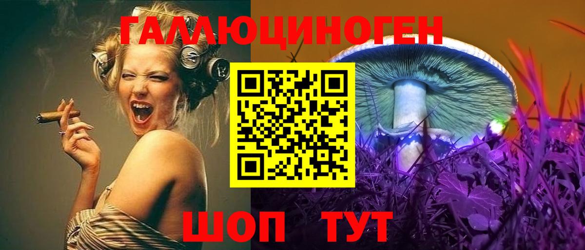 Кириши  Псилоцибиновые грибы GOLDEN TEACHER  Вход с VPN 